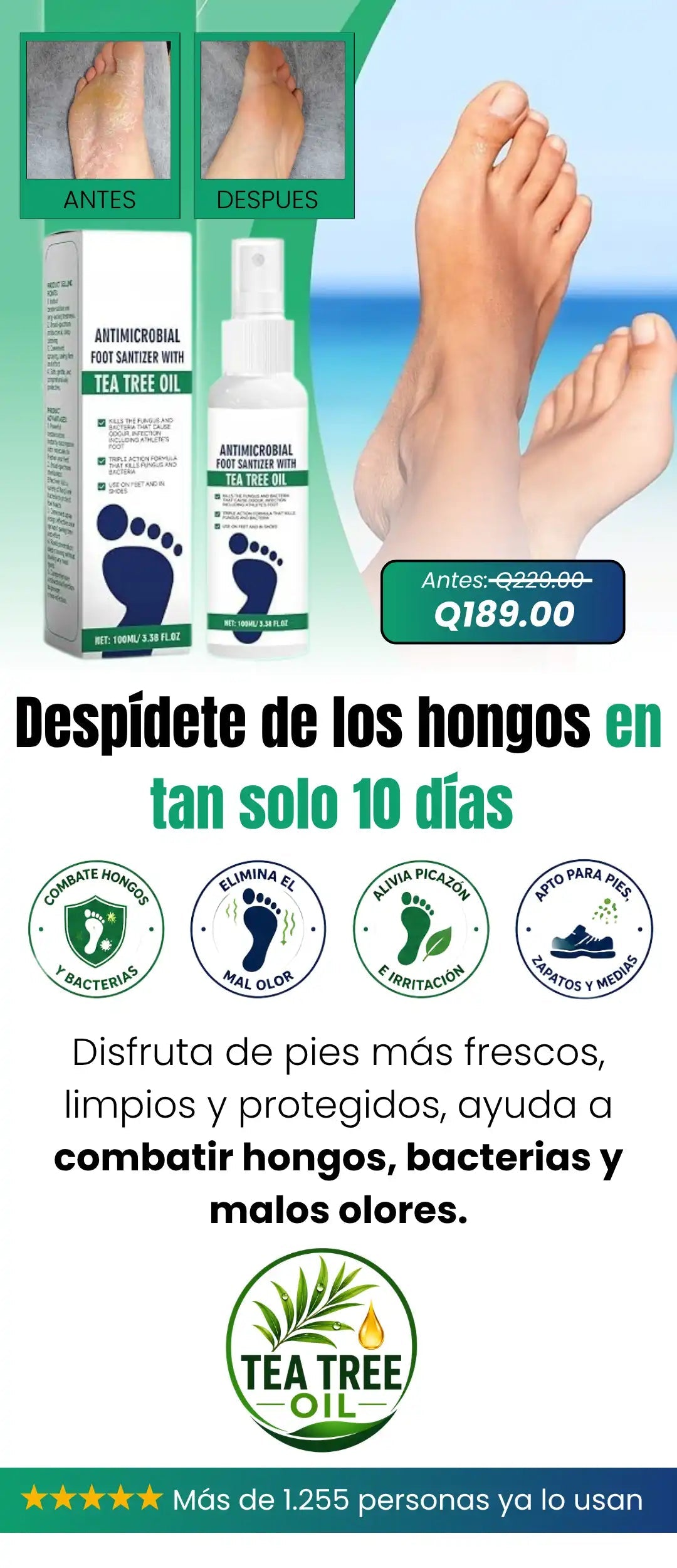 TEA TREE